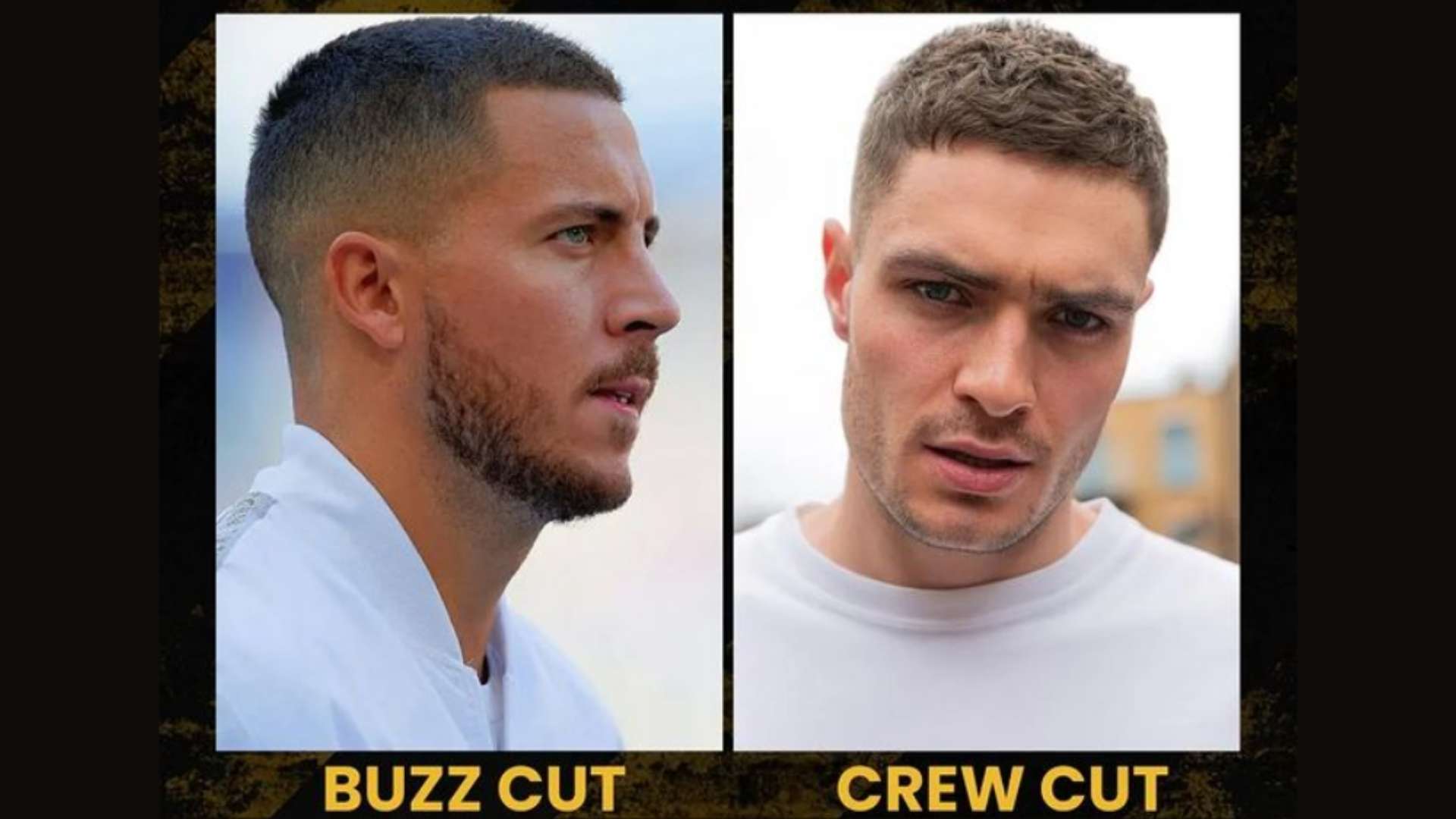 buzz cut vs crew cut